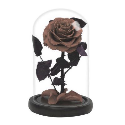 Роза в колбе коричневая
