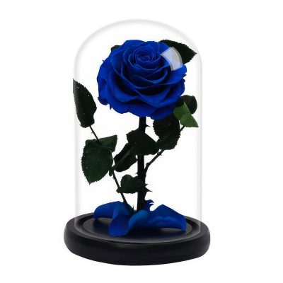 Роза в колбе синяя